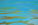 Blue Waves